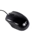 Souris Optique Filaire ASA AS50M01 Noire image #01