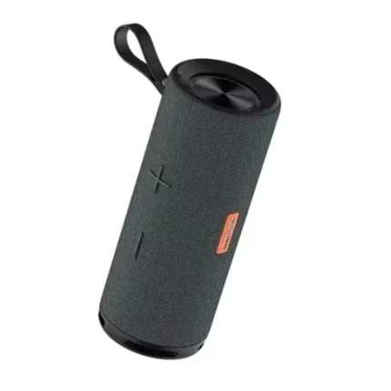 Haut parleur BTS13 SIYOTEAM Portable Bluetooth 01