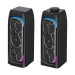 Haut parleur SK215 HAVIT BT+AUX 03