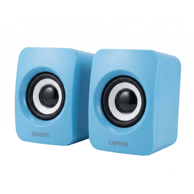 Haut Parleur Mini USB Capsys SP220 1 1