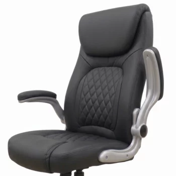 Chaise de Bureau Ergonomique HZ 2079 Noir