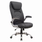 Chaise de Bureau Ergonomique HZ 2079 Noir
